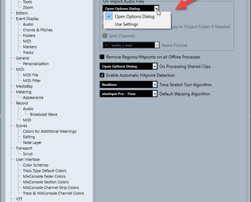 Afbeelding: Preferences Editing Audio in Cubase