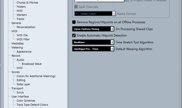 Afbeelding: Preferences Editing Audio in Cubase